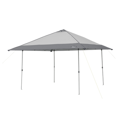 13' x 13' Instant Canopy