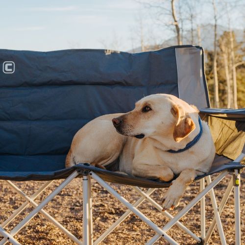 A picture of a dog showing the durability of the CORE Padded Loveseat.