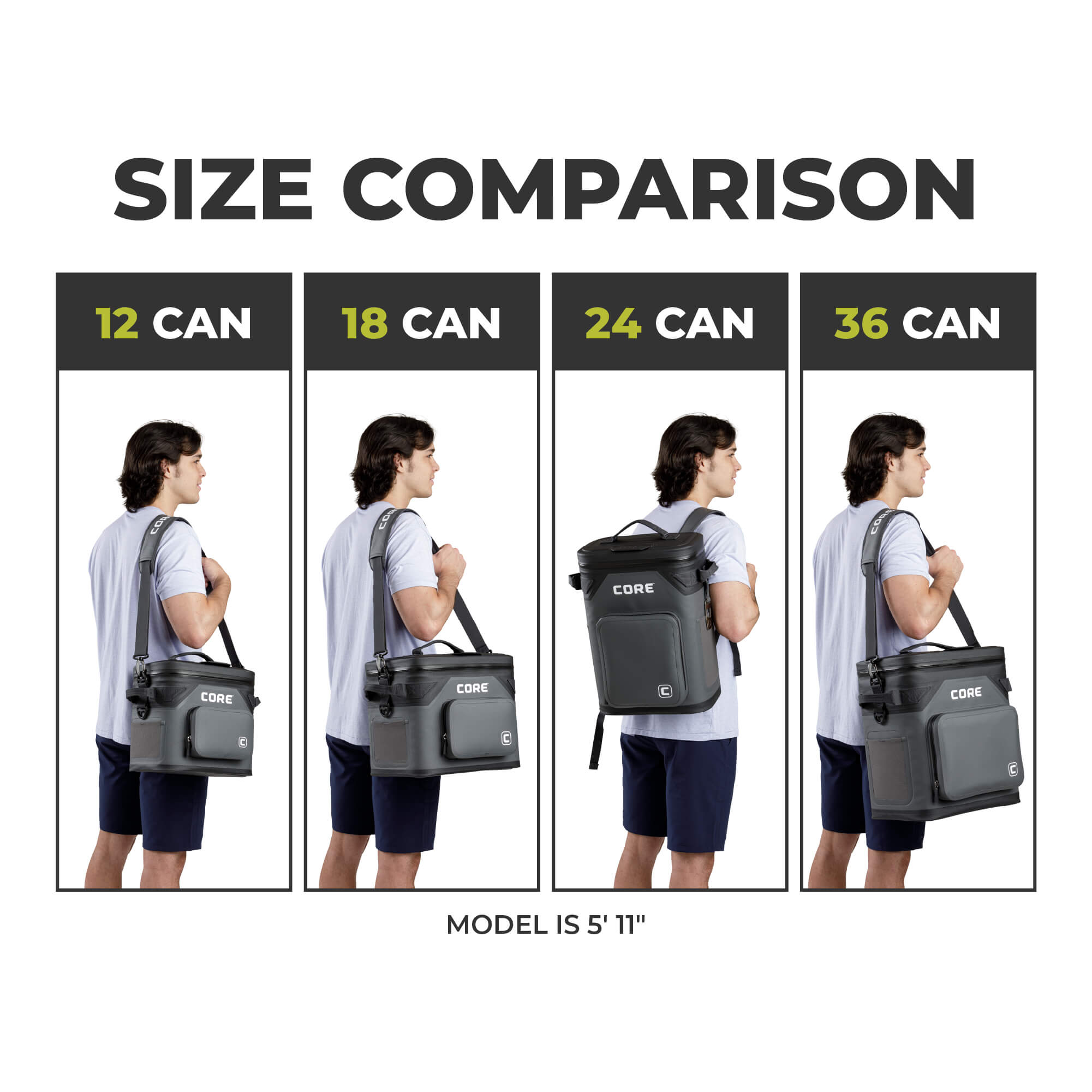 Size comparison chart for CORE coolers with different can capacities. The size comparison is 12, 18, 24, and 36 cans. Text reads that the model is 5'11".