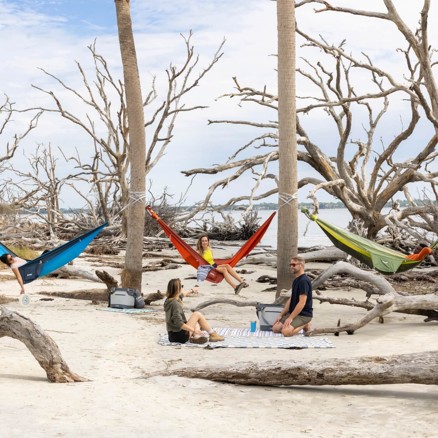 Group of friends relaxing on a sandy beach with driftwood and palm trees. Three people lounge in colorful hammocks, while two others sit on a picnic blanket nearby. CORE coolers sit in the shade as everyone enjoys the coastal scenery under a bright sky.